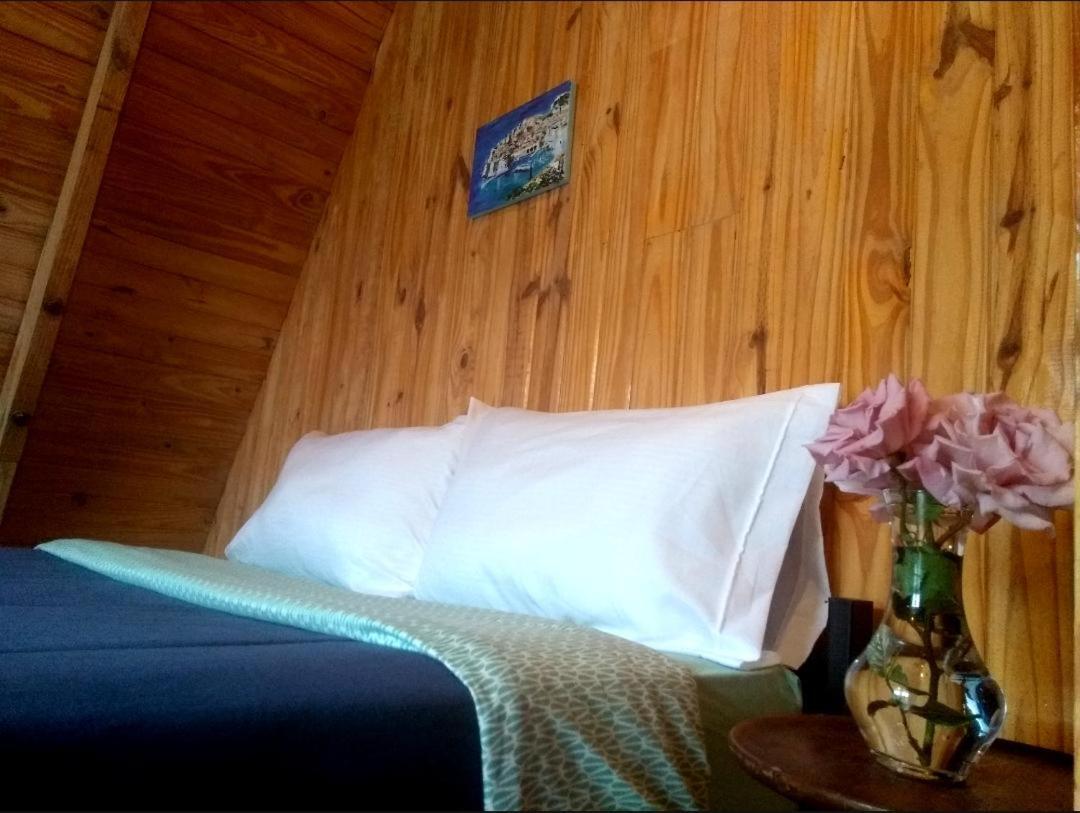 Trastienda Guest House El Calafate Bagian luar foto
